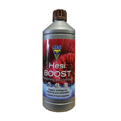 hesi-boost